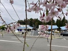 大田原市那須与一伝承館