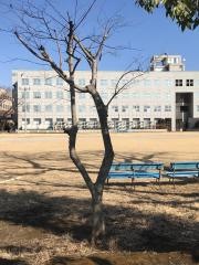 実践女子大学　日野キャンパス