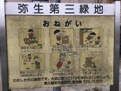 弥生第3緑地
