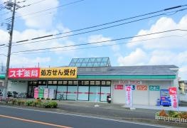 スギ薬局　厚木愛甲店
