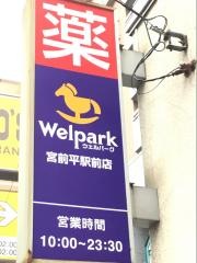ウェルパーク薬局宮前平駅前店