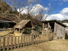 たけのこ保育園