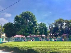 杉田幼稚園