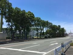 本野原第1公園