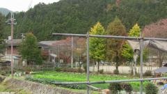 大原小学校