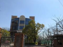 羽衣国際大学