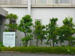 むらまつ内科
