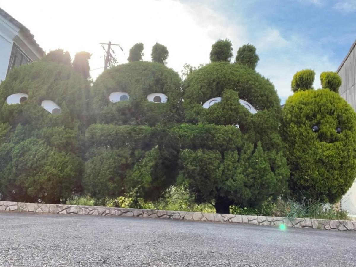 植木のアート