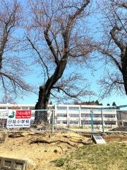 日詰小学校