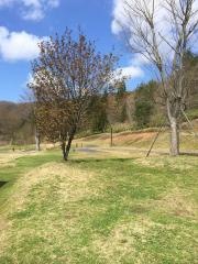 太平山リゾート公園