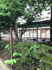 かわらぶき保育所