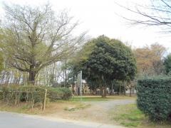 中丸緑地公園