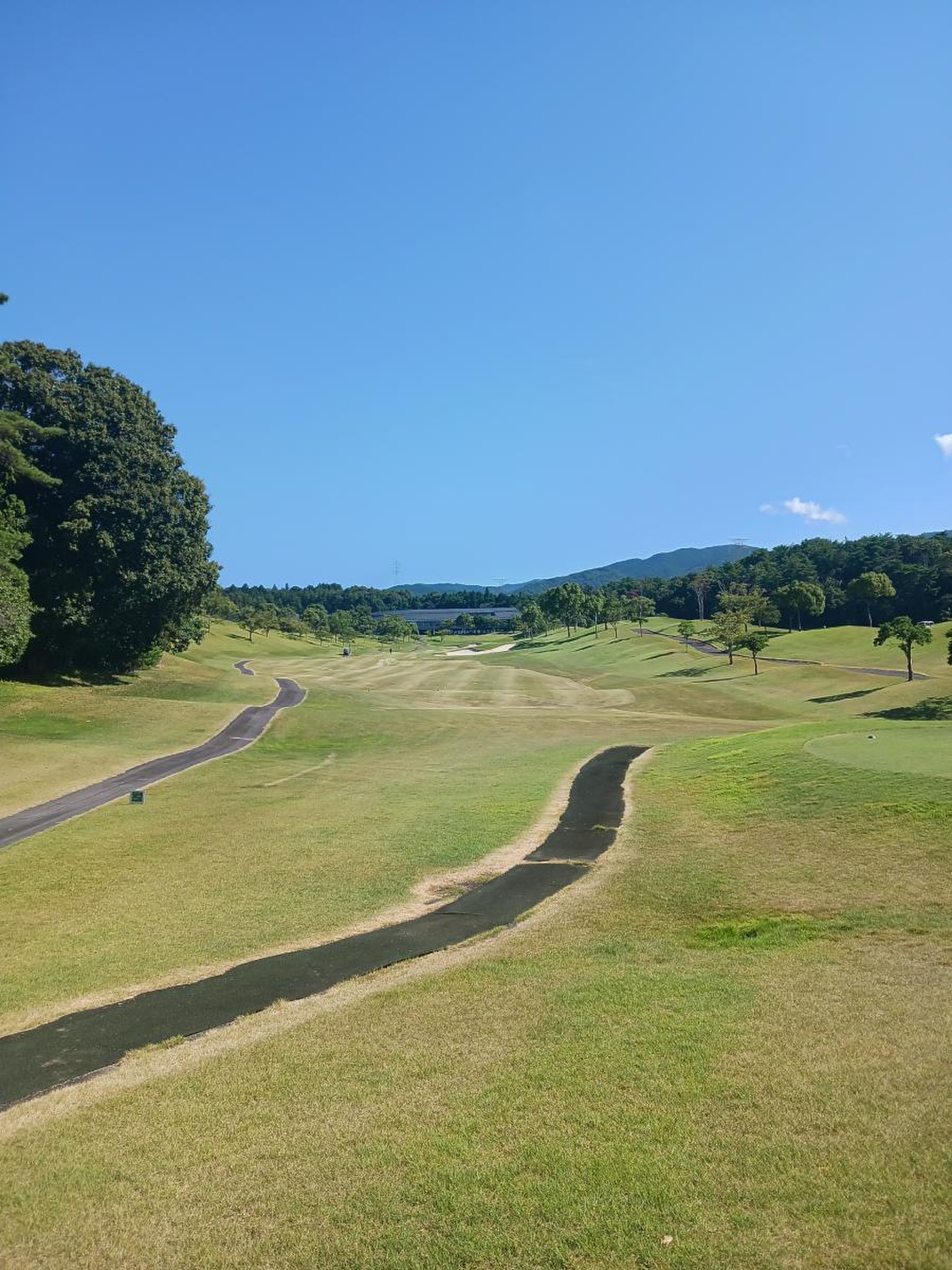 藤原 ゴルフ クラブ