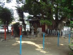 楠さん（伯光神社）
