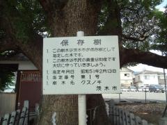 楠さん（伯光神社）