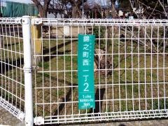 錦西公園