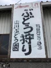観光山川ぶどう園