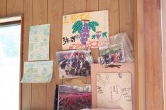 観光山川ぶどう園