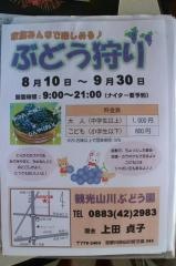 観光山川ぶどう園