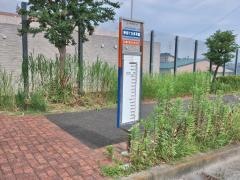 「新桜ケ丘保育園」バス停留所