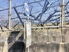 「桜山(旧道)」バス停留所