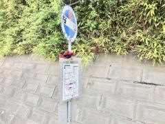 「桜山(旧道)」バス停留所
