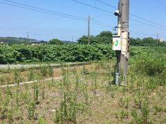 社台駅