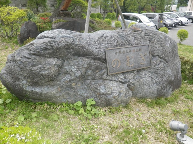 のむぎ