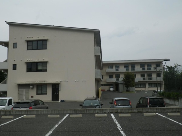 のむぎ