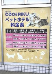 ペットショップＣｏｏ＆ＲＩＫＵ　札幌東店