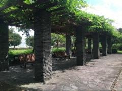 国分寺運動公園