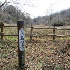 さいたま緑の森博物館