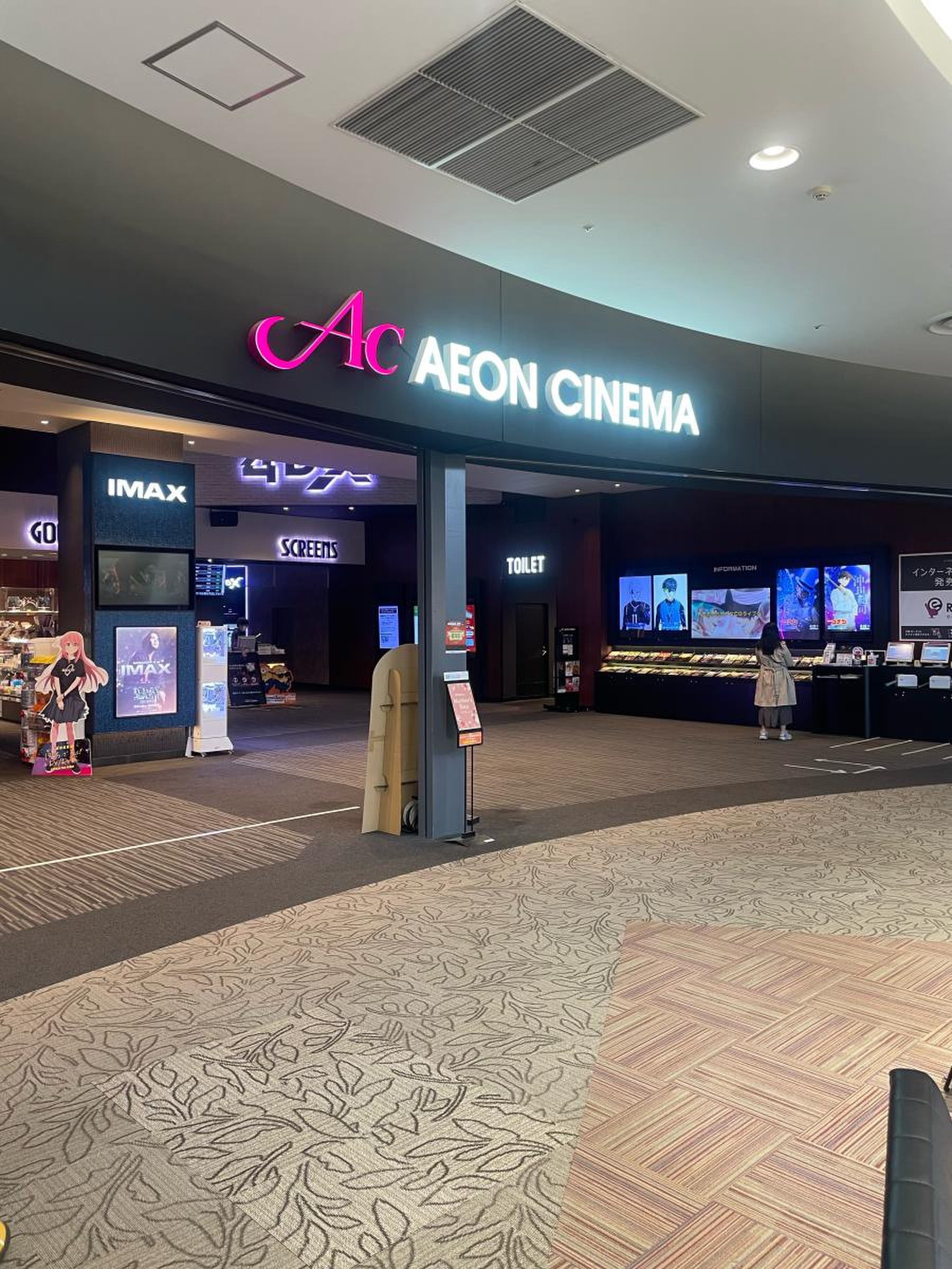 活動歴および当時の関連ビジュアル記録