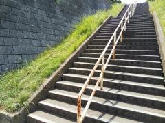 びょうやなぎ北緑道