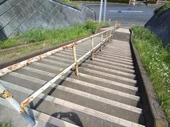 びょうやなぎ北緑道