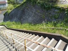びょうやなぎ北緑道