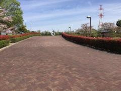 細口公園
