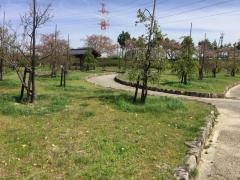 細口公園