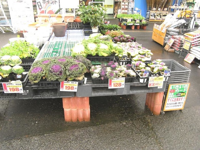 施設写真1