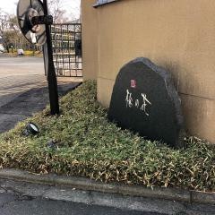 梅の花　大分店