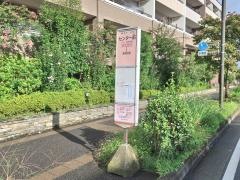 「センター前(横浜市緑区)」バス停留所