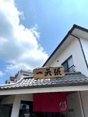 一天張
