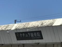 ナチュラ接骨院