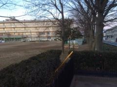 青毛小学校