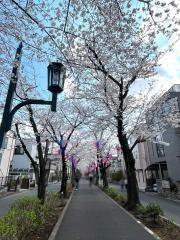 花と緑の散歩道