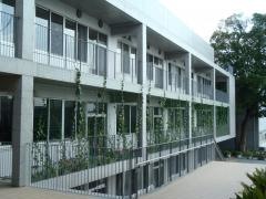 松沢小学校