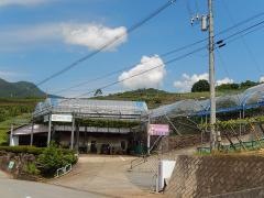 萩原フルーツ農園