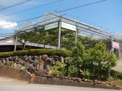 萩原フルーツ農園
