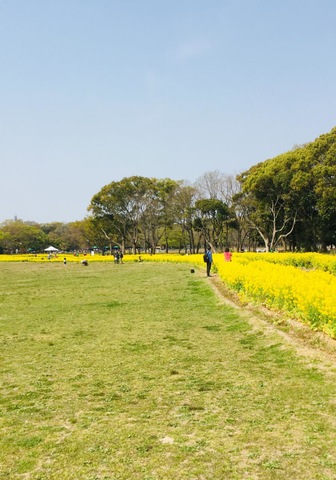 施設写真26