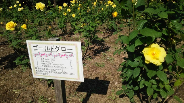 施設写真49